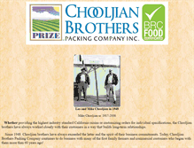 Tablet Screenshot of chooljianbrothers.com